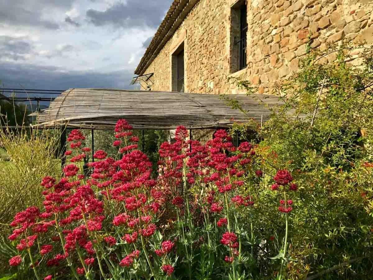 Вилла La Demoiselle Puy-Saint-Martin Экстерьер фото